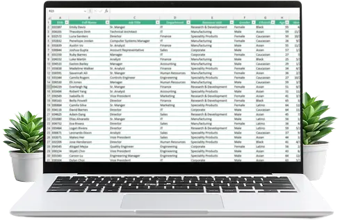 Excel Mockup